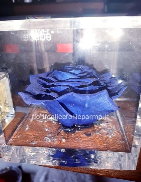 Flowercube blu